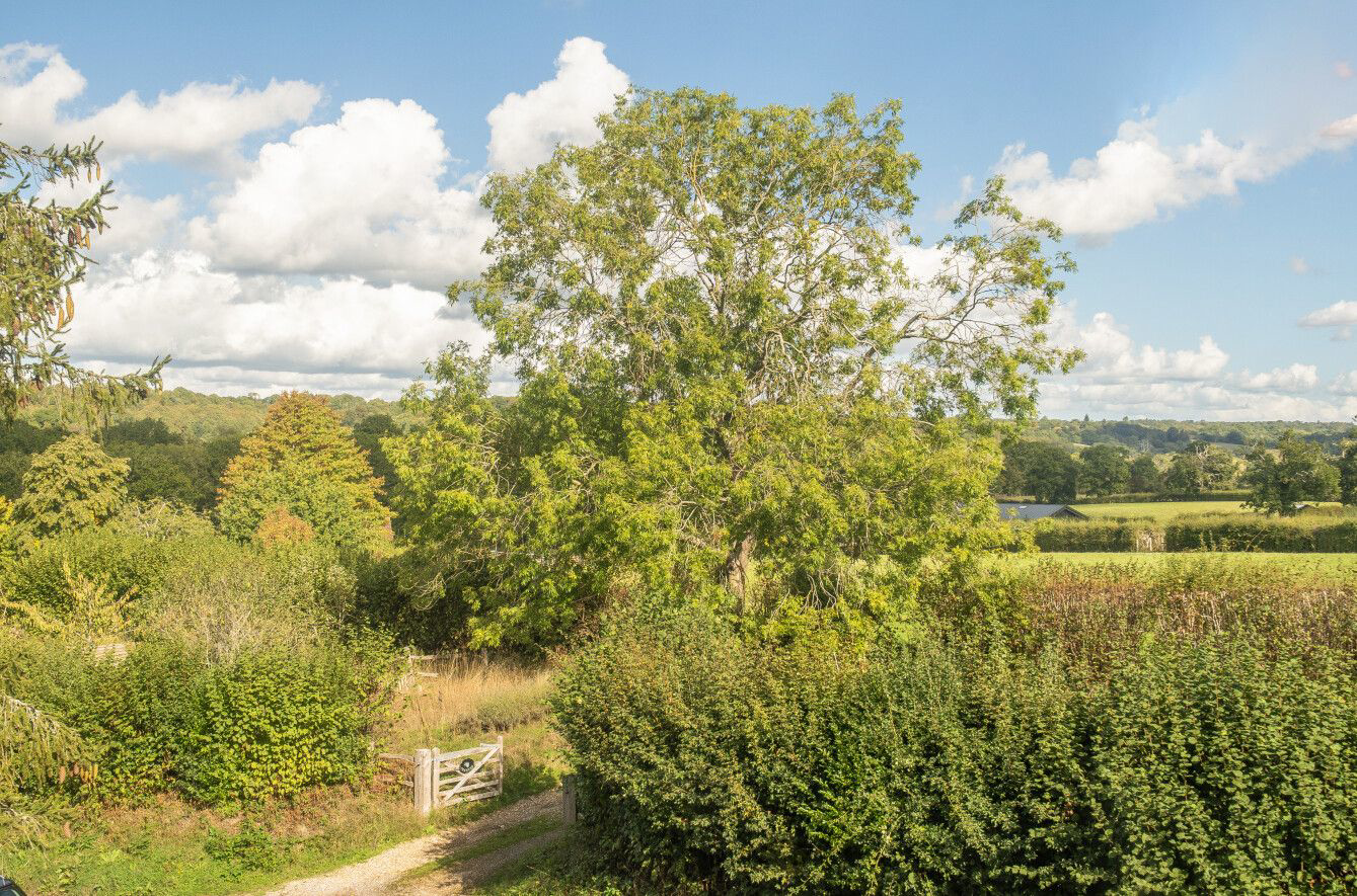 Station Road, Groombridge, Tunbridge Wells, photo 16