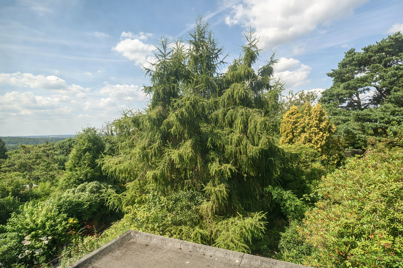 Fairview Lane, Crowborough, TN6 1BT, photo 15