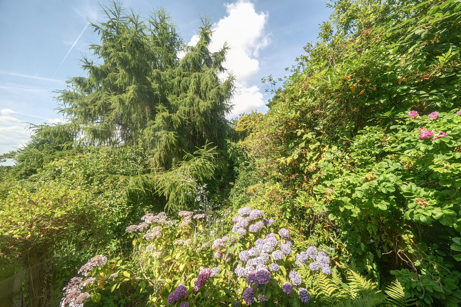 Fairview Lane, Crowborough, TN6 1BT, photo 19