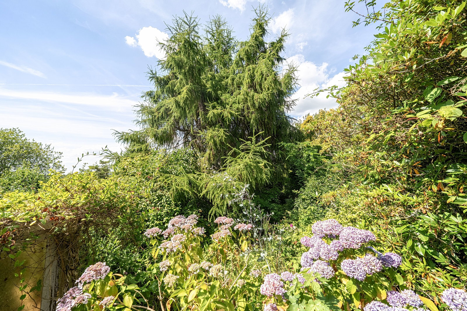 Fairview Lane, Crowborough, TN6 1BT, photo 17