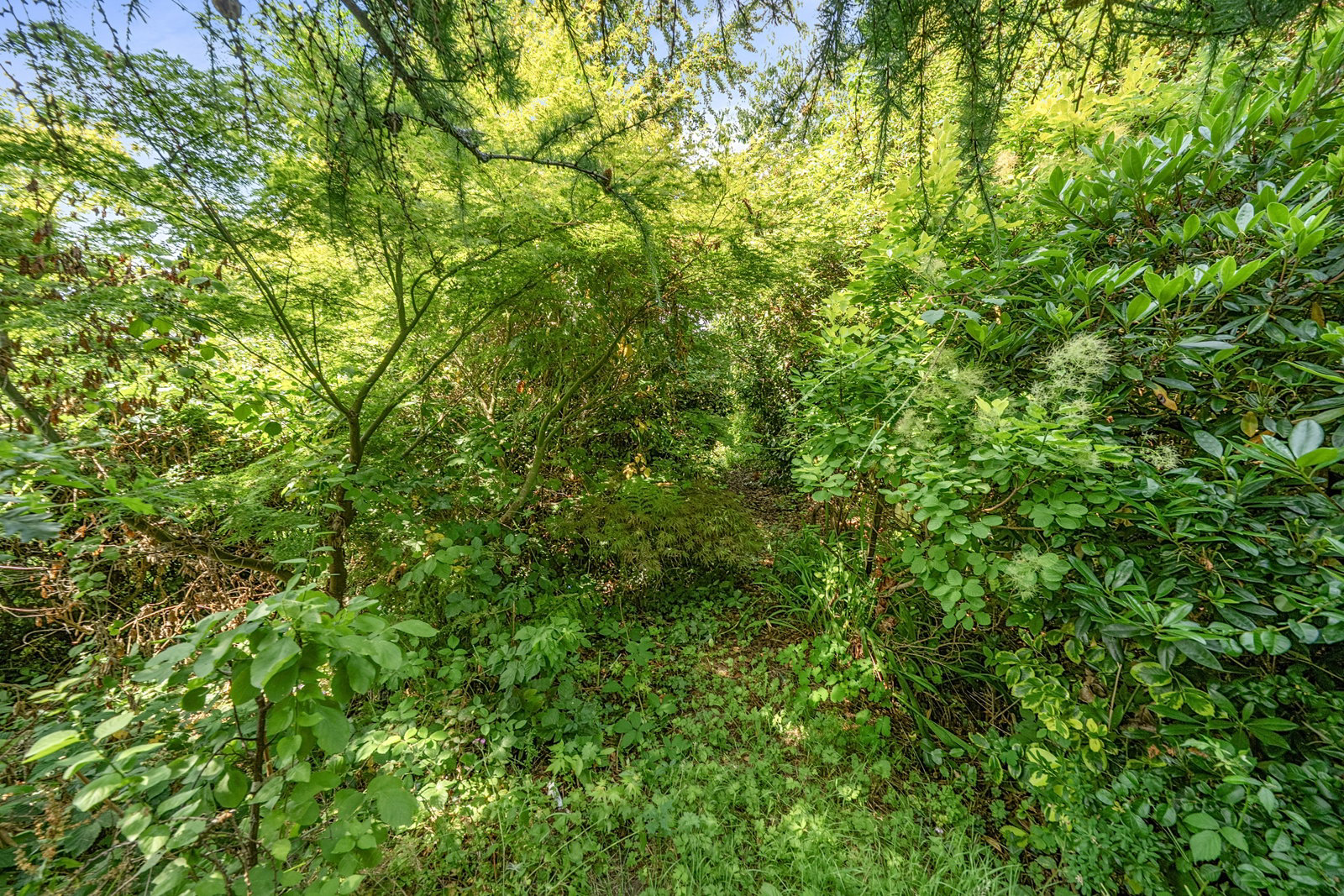 Fairview Lane, Crowborough, TN6 1BT, photo 20