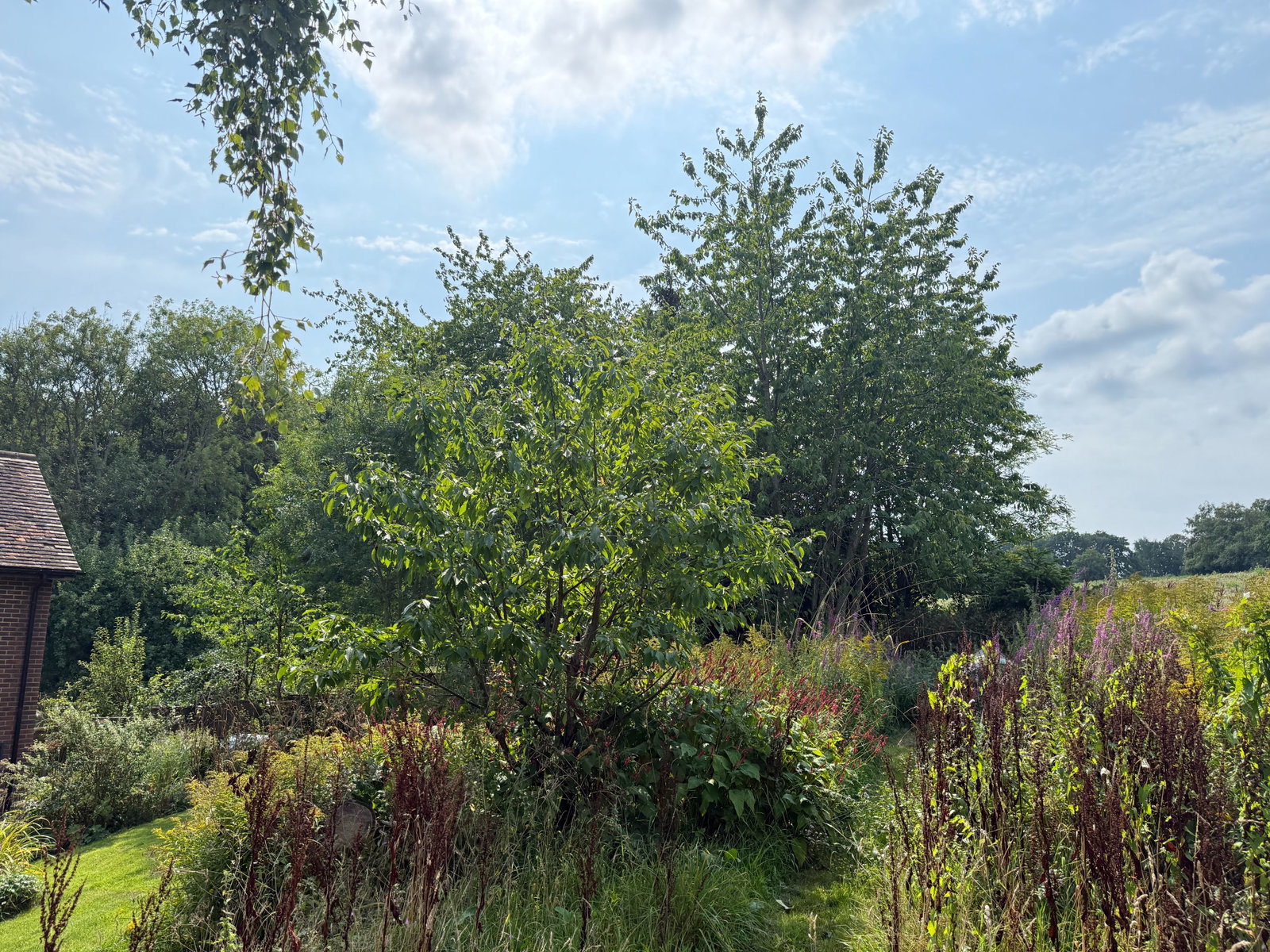 Parrock Lane, Upper Hartfield, Hartfield, photo 21