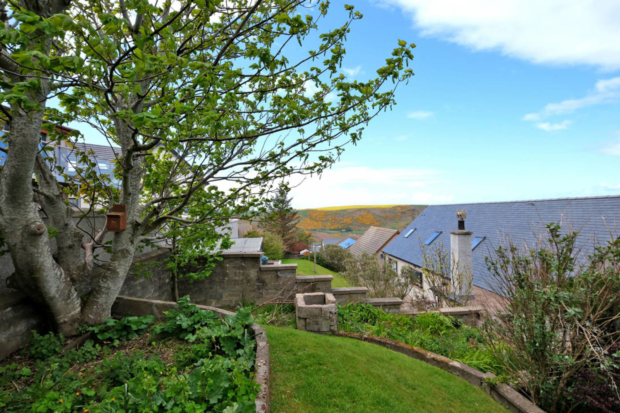 Bayview Road, Gardenstown, Banff, Aberdeenshire, AB45 3YF, photo 27