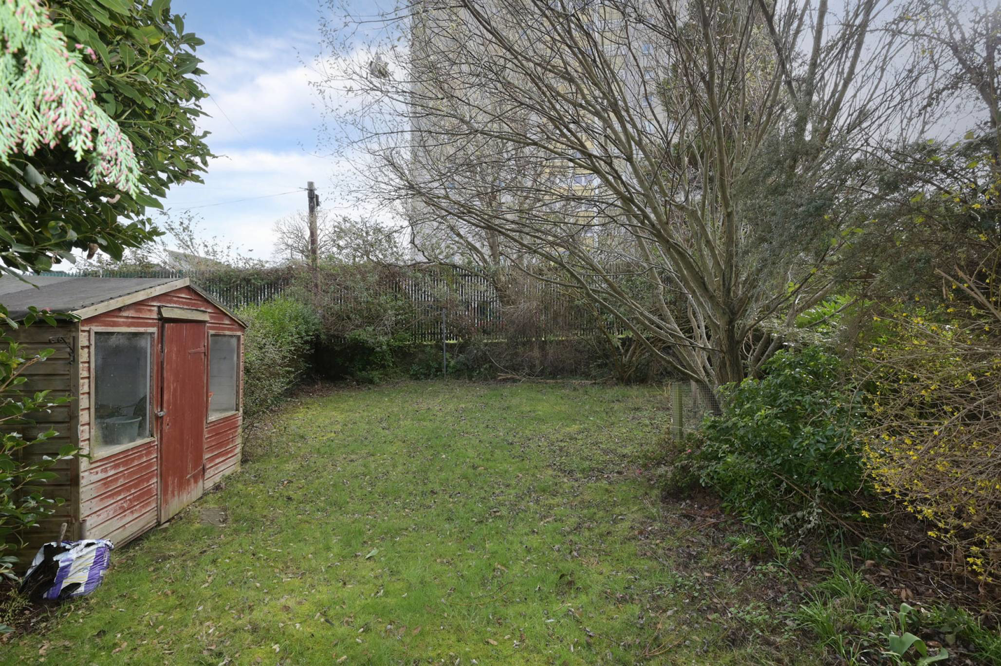 Photo 15