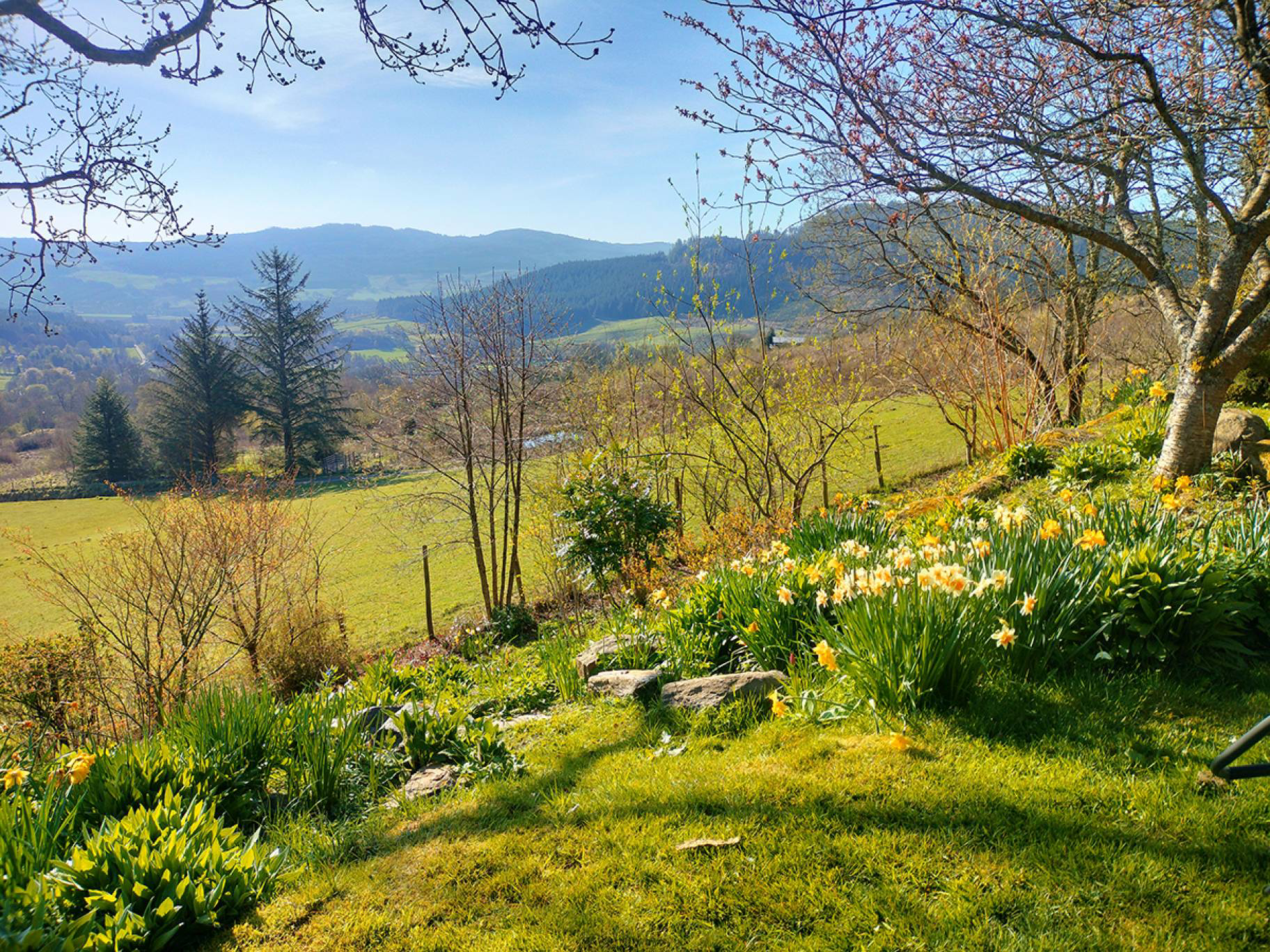 Photo 35