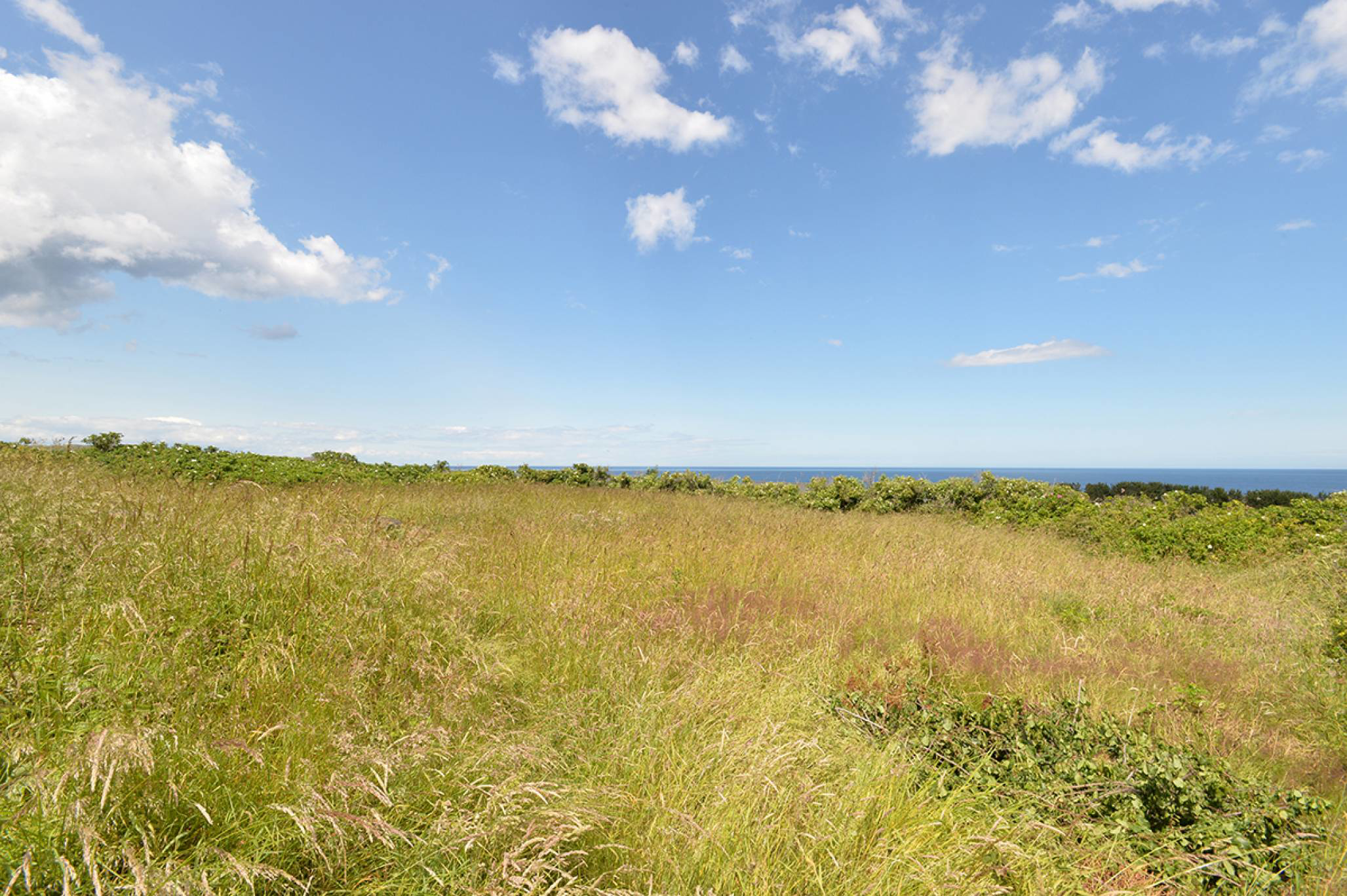 Hinkar Way, Eyemouth, TD14 5EQ, photo 37