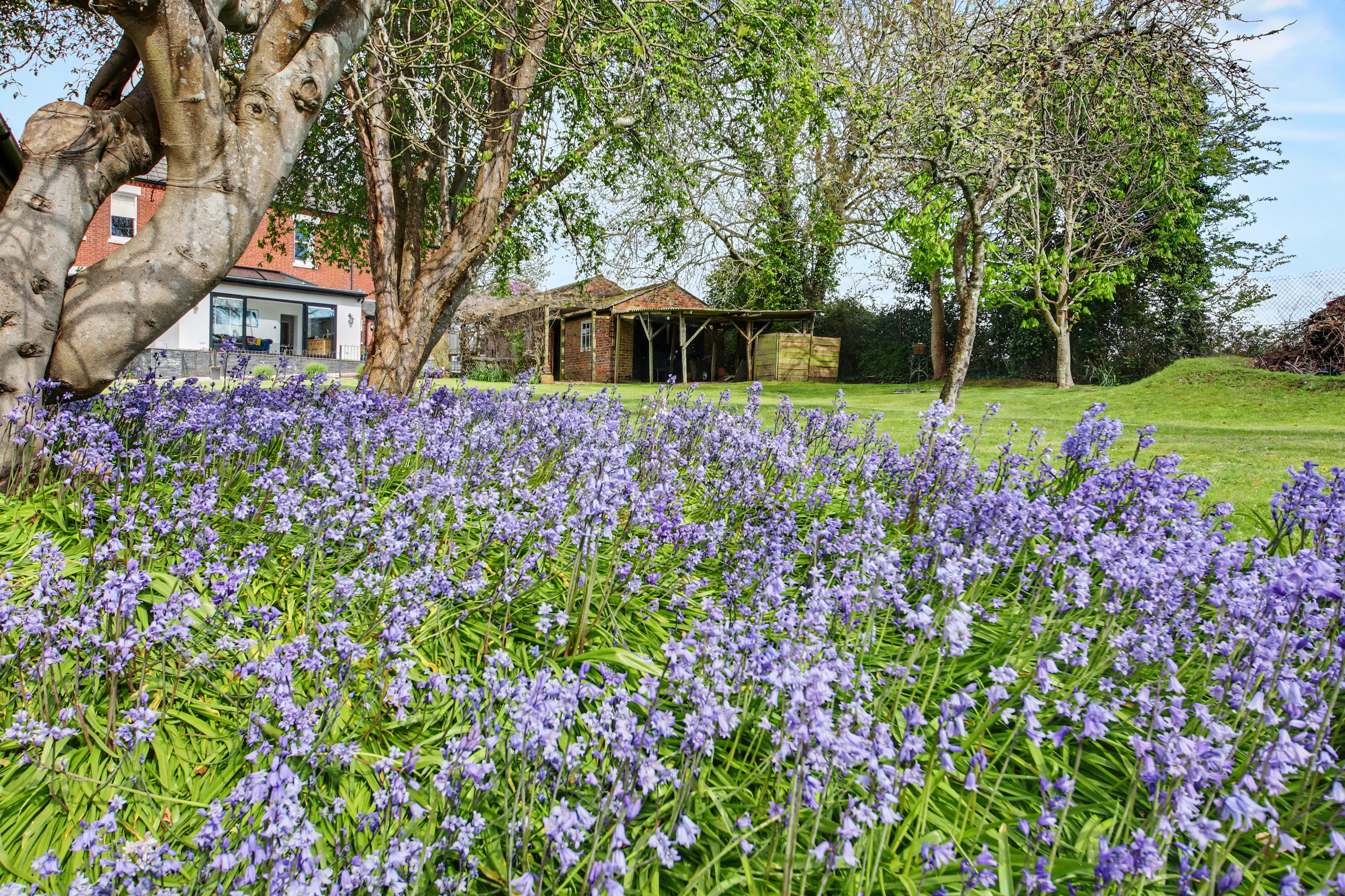 Outlands Lane, Curdridge, SO30, photo 24