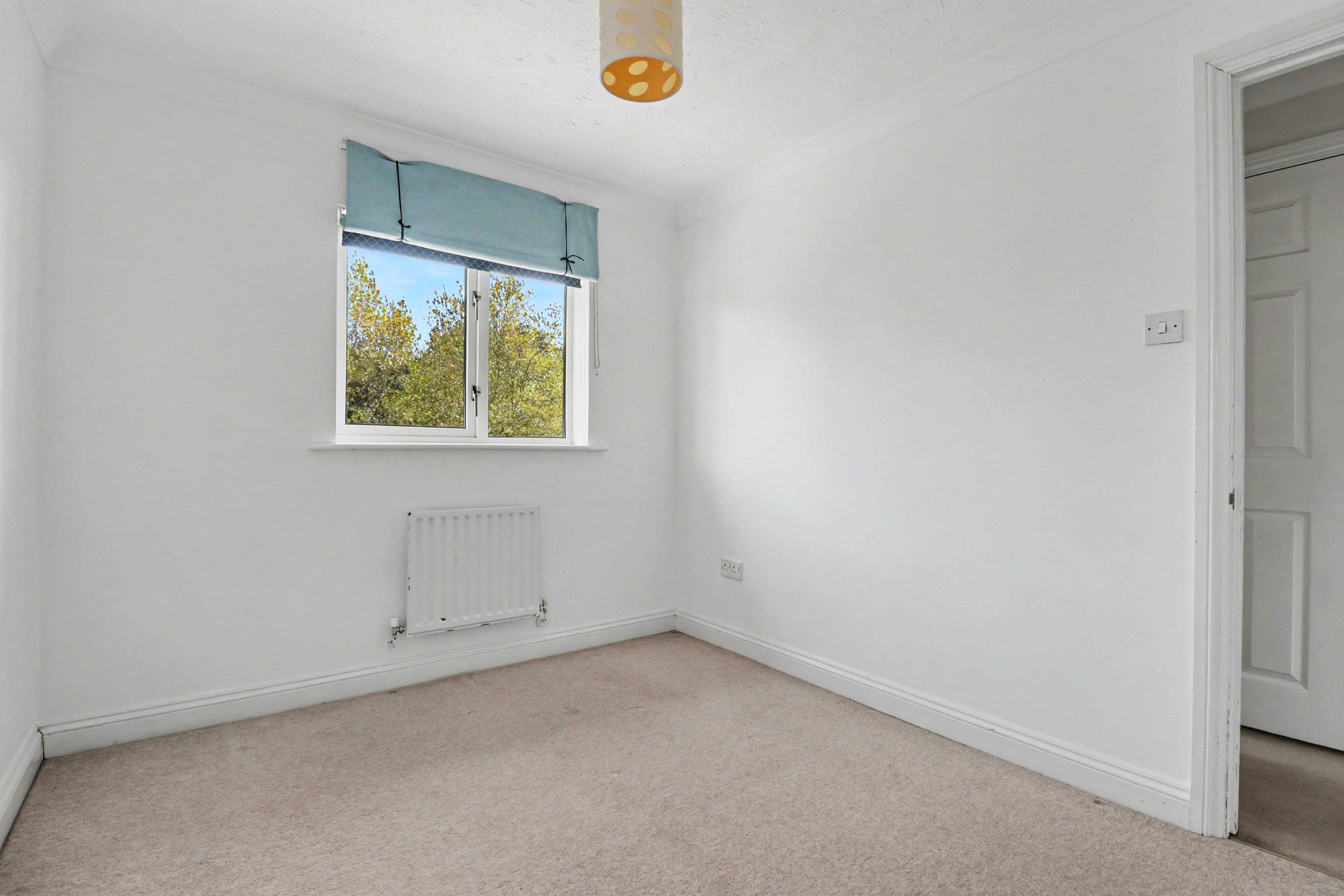 Upper Barn Copse, Fair Oak, SO50, photo 7