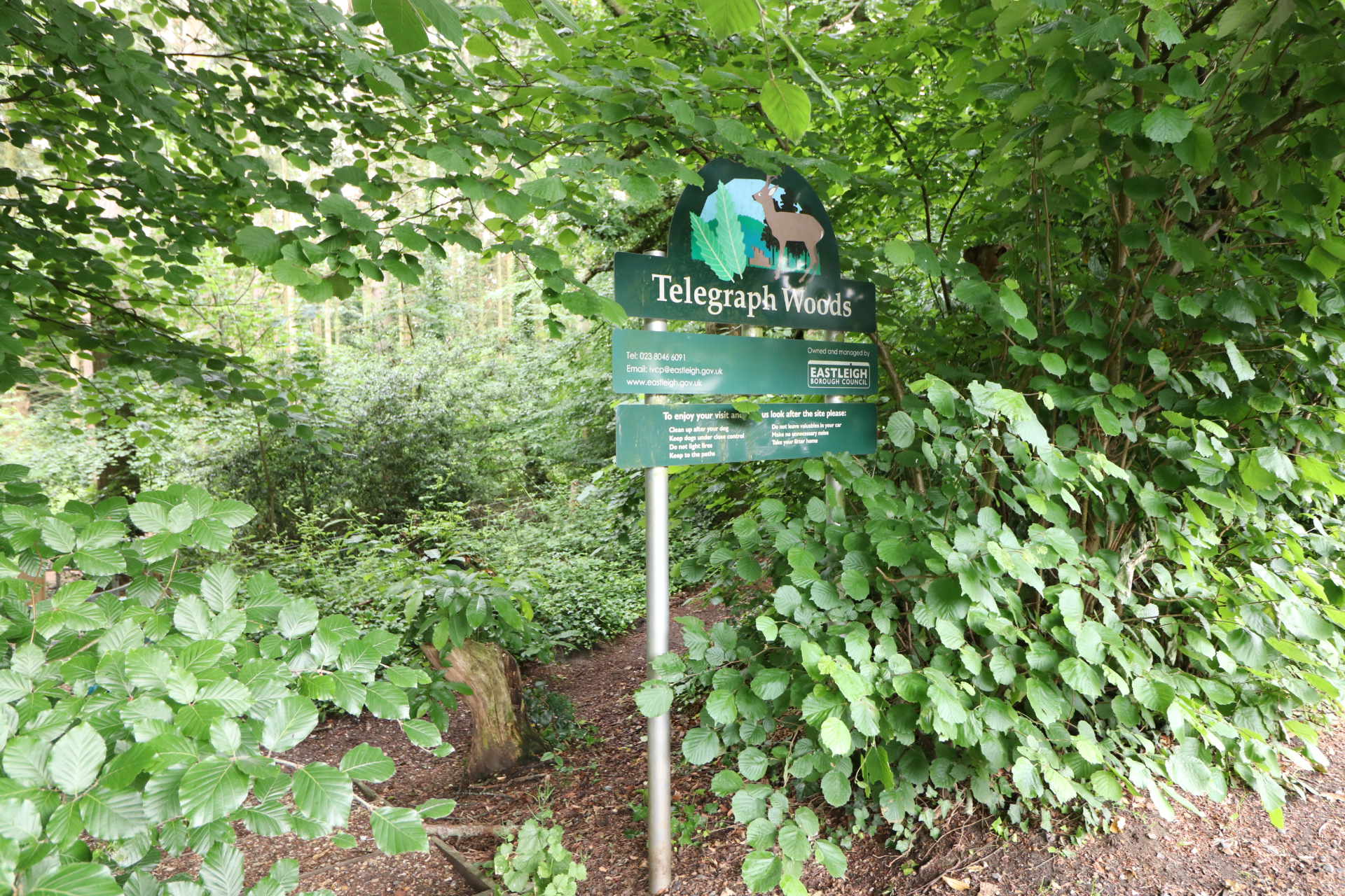 Telegraph Road, West End, SO30, photo 21