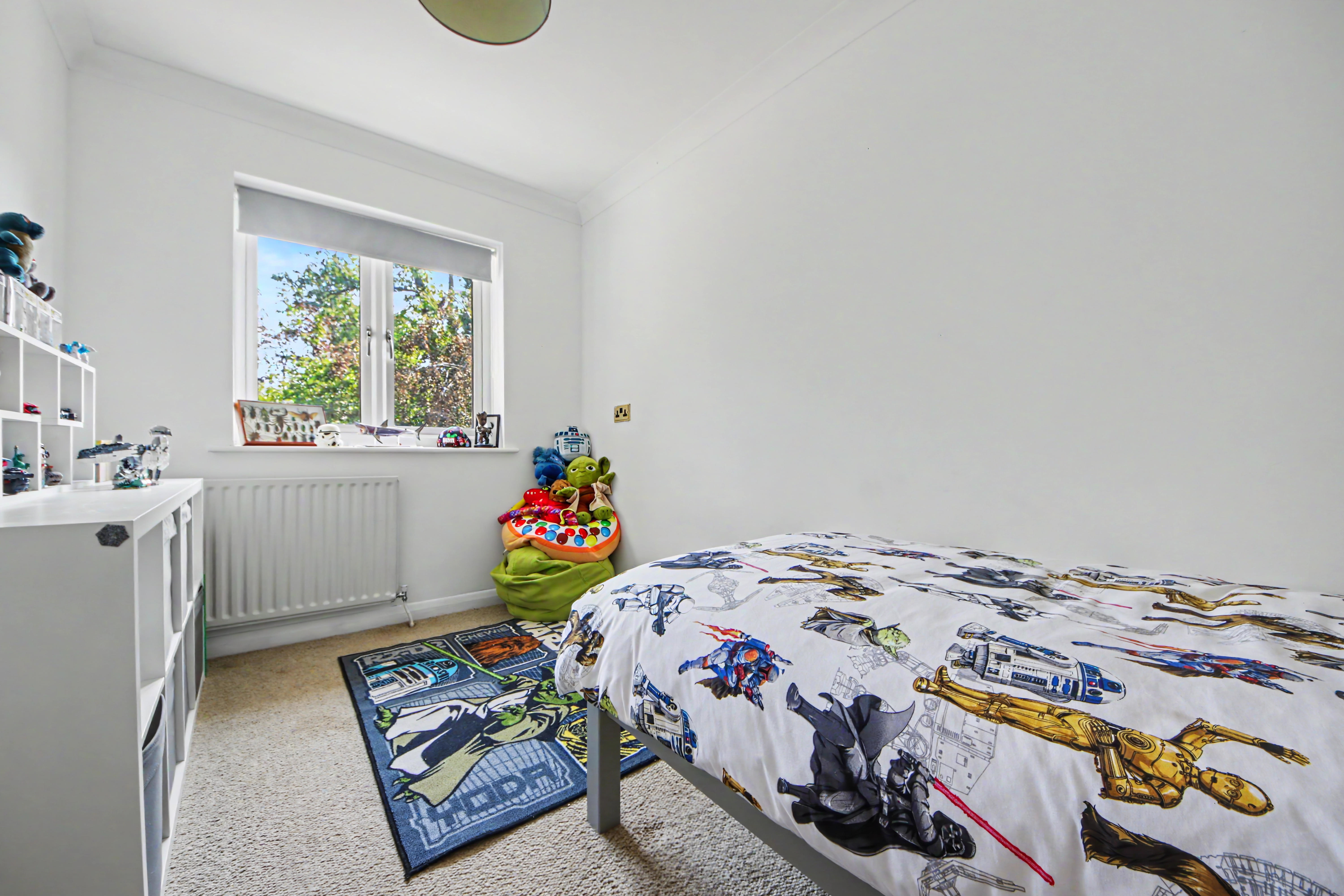 Kootenay Avenue, Thornhill, SO18, photo 12