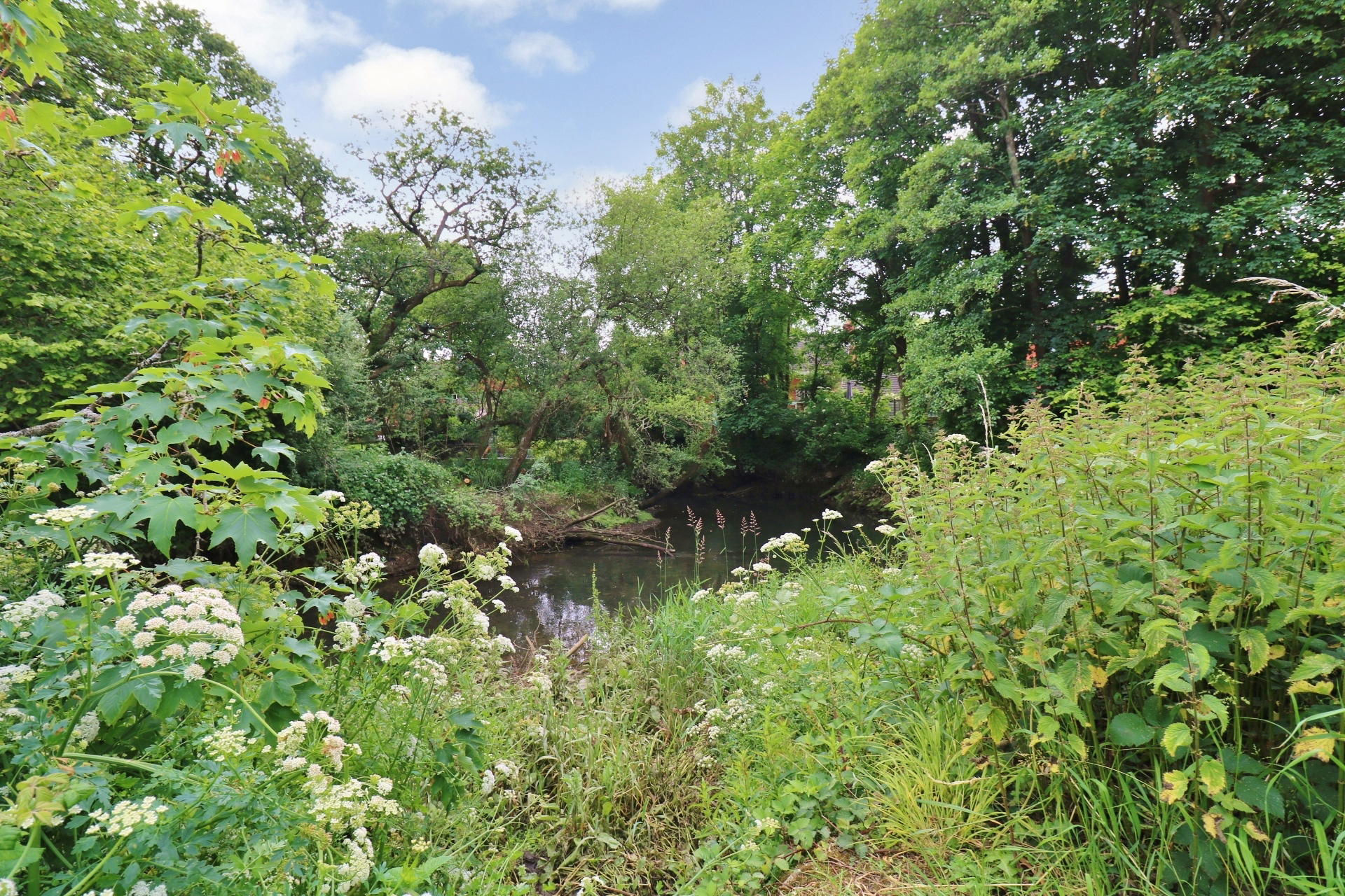 Church Lane, Botley, SO30, photo 11