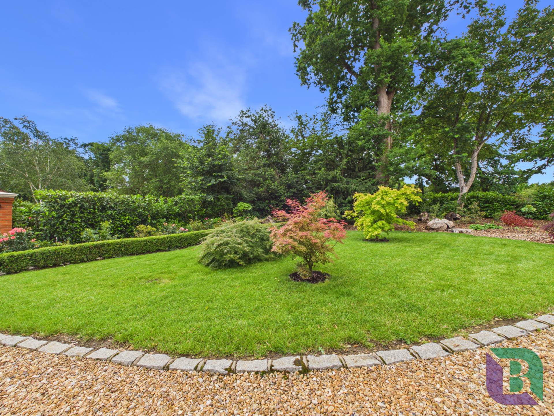 Photo 24