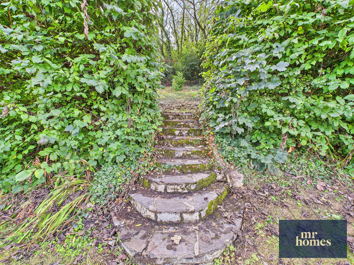 Walston Road, Wenvoe, Cardiff, CF5, photo 31