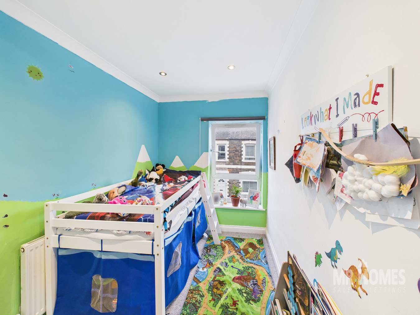 Topaz Street, Roath, Cardiff, CF24, photo 20