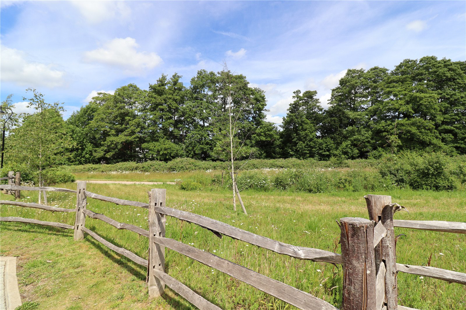 Mulberry Walk, Fleet, Hampshire, GU51, photo 14