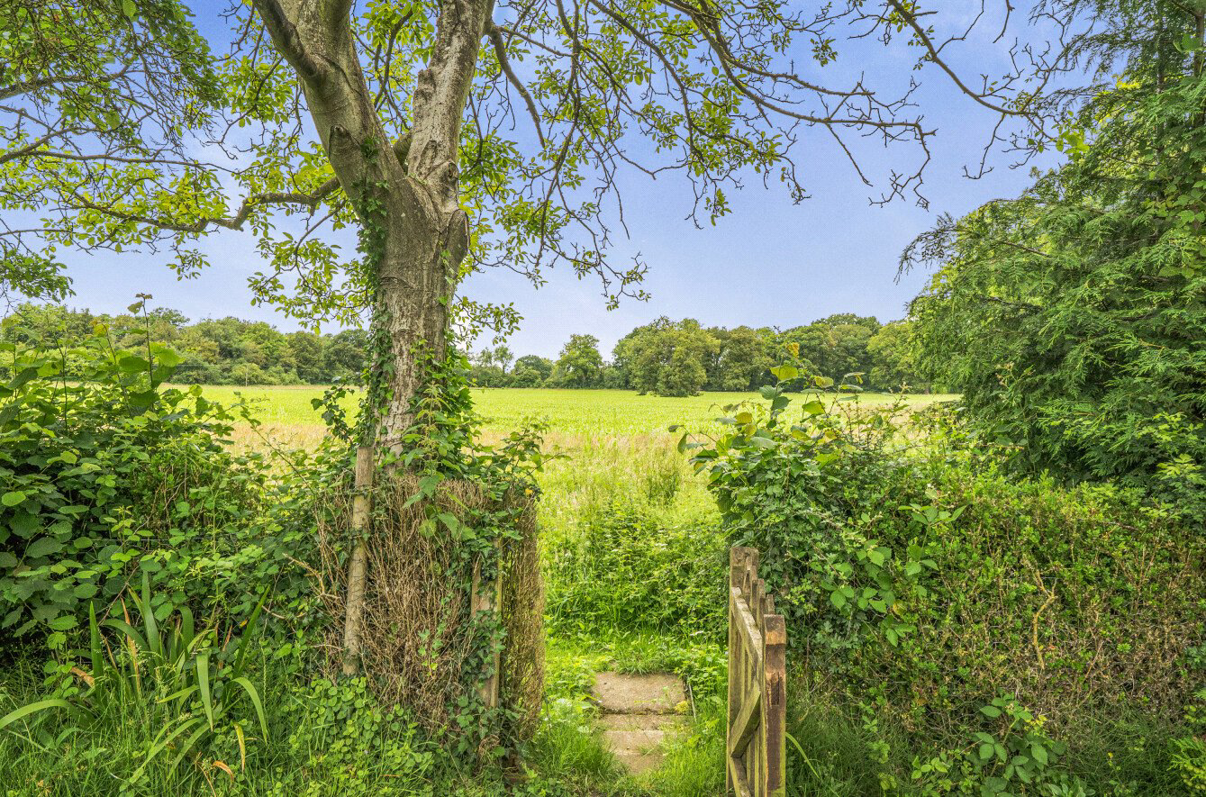 The Street, Rotherwick, Hook, Hampshire, RG27, photo 24