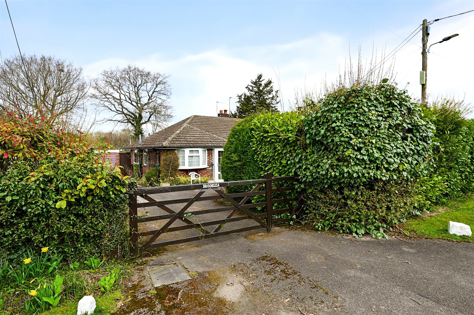 Hazel Road, Ash Green, Guildford, Surrey, GU12, photo 11