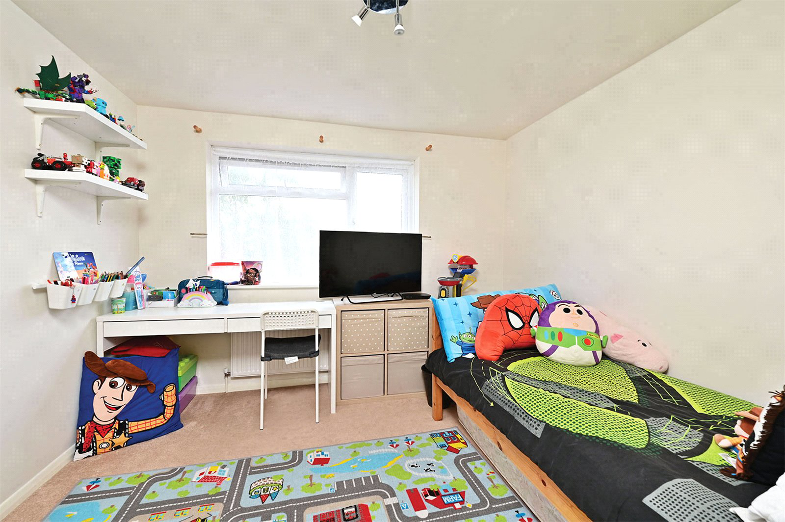 Photo 10