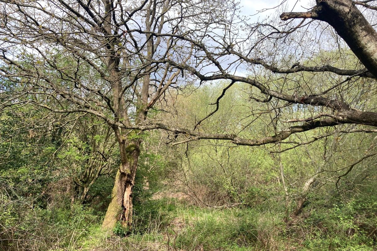 Photo 3
