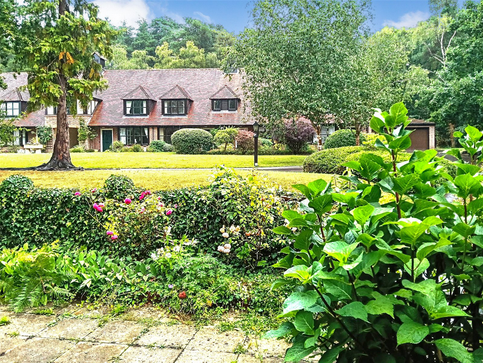 Mytchett Heath, Mytchett, Camberley, Surrey, GU16, photo 2