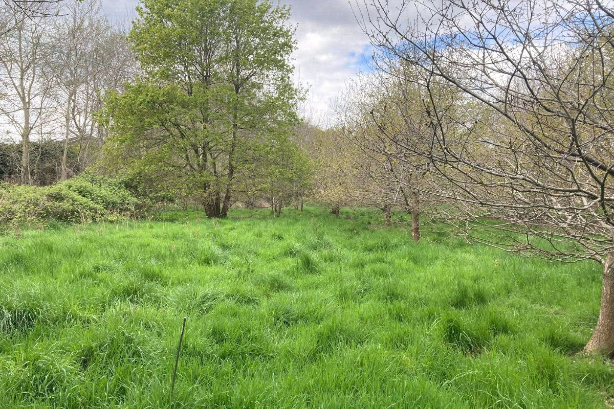 Rosemary Lane, Blackwater, GU17, photo 6