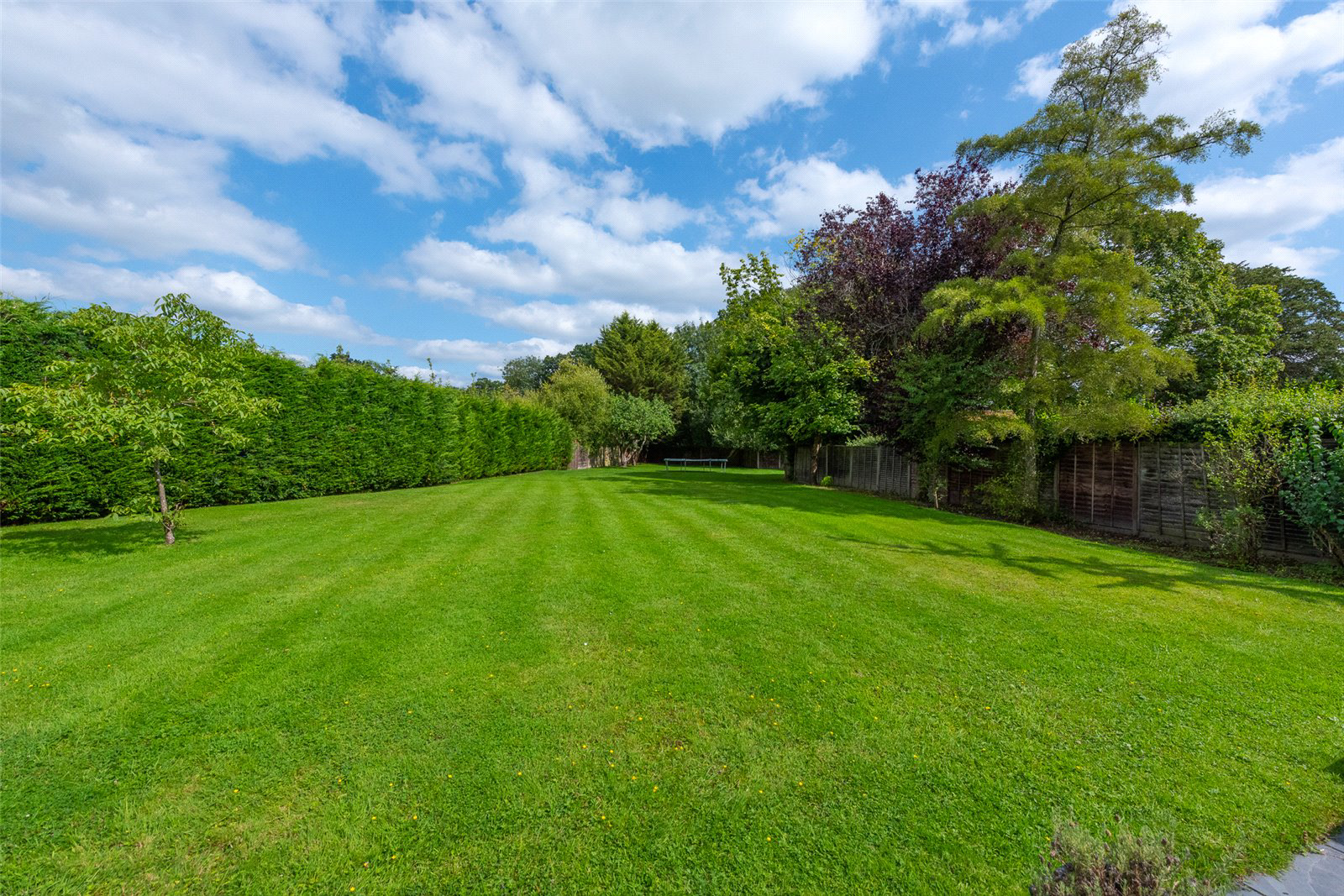 New Mill Lane, Eversley, Hook, Hampshire, RG27, photo 13