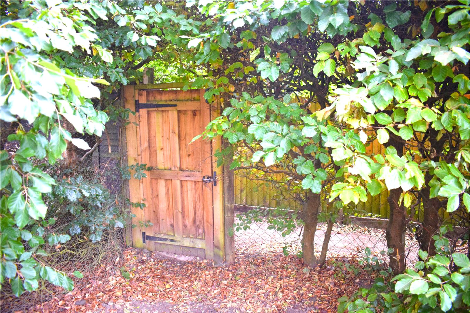 Kingsley Road, Eversley, Hampshire, RG27, photo 20