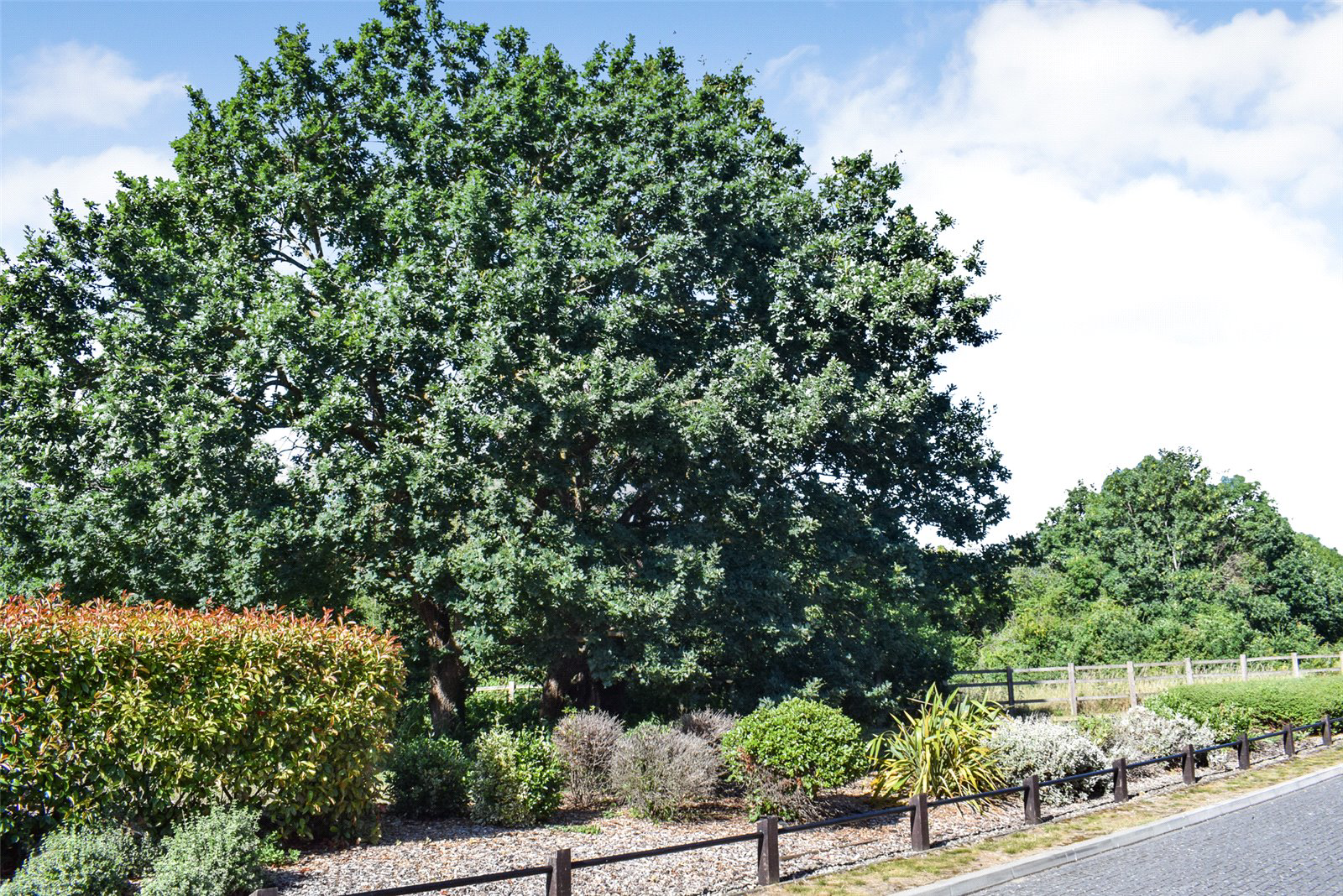 Cuckoo Crescent, Blackwater, Camberley, Hampshire, GU17, photo 14