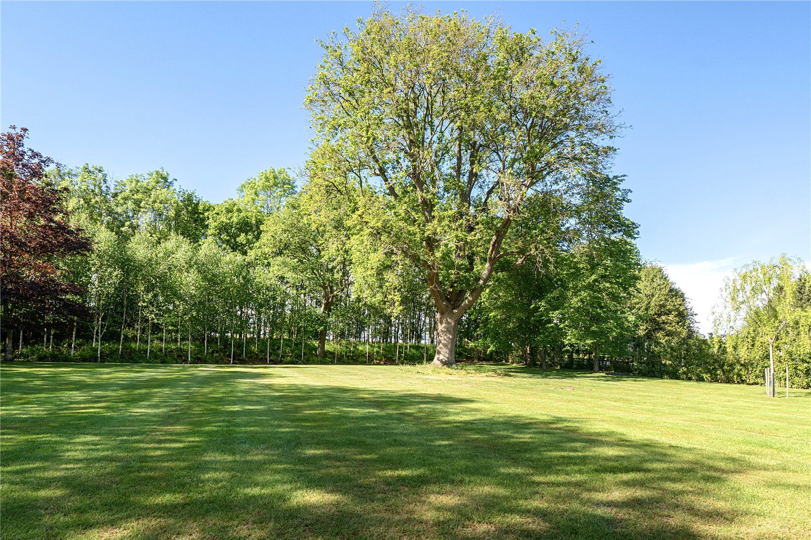Thatch Cottage, Eversley, Hampshire, RG27, photo 17