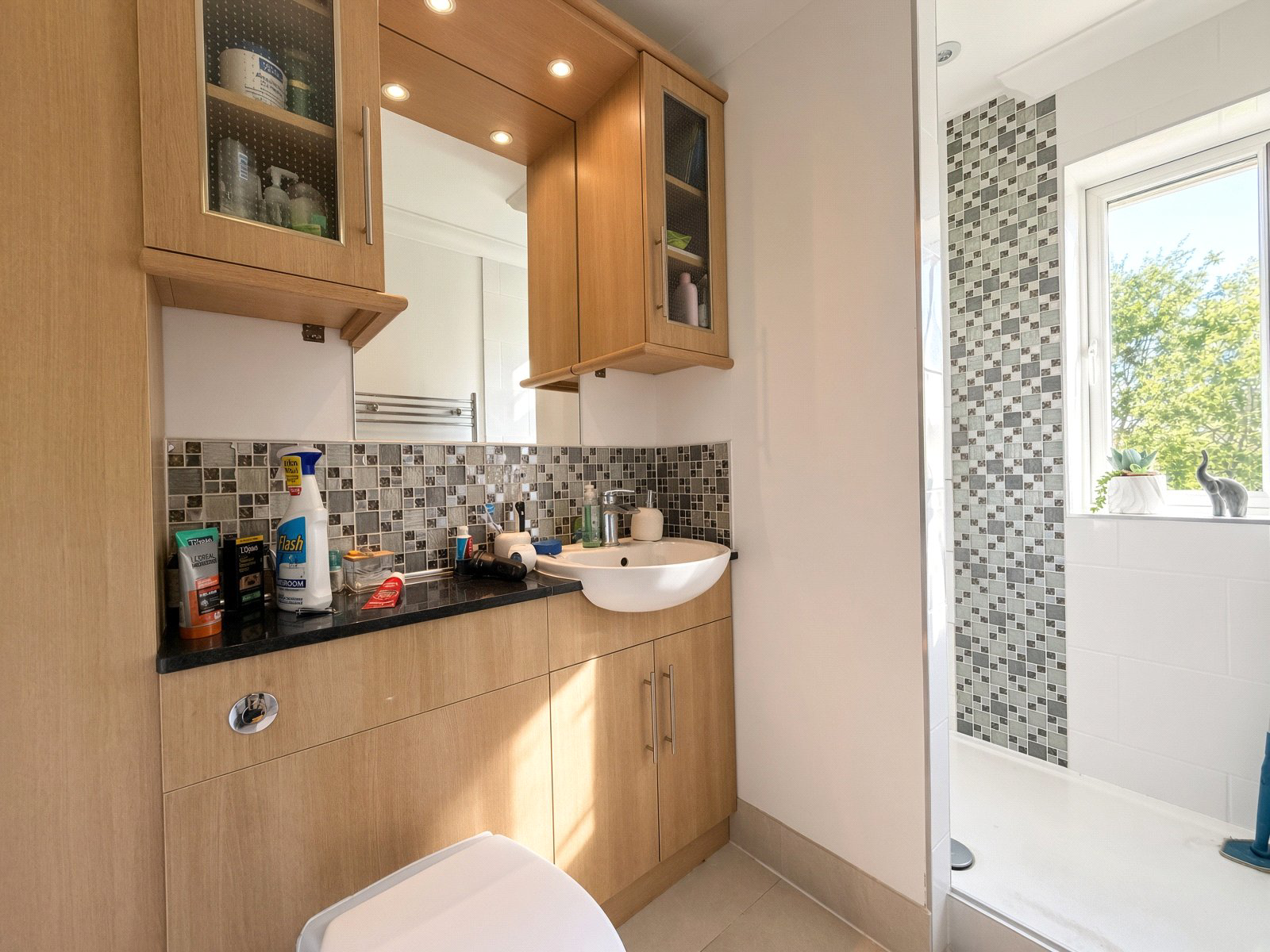 Elm Place, Aldershot, Hampshire, GU11, photo 28