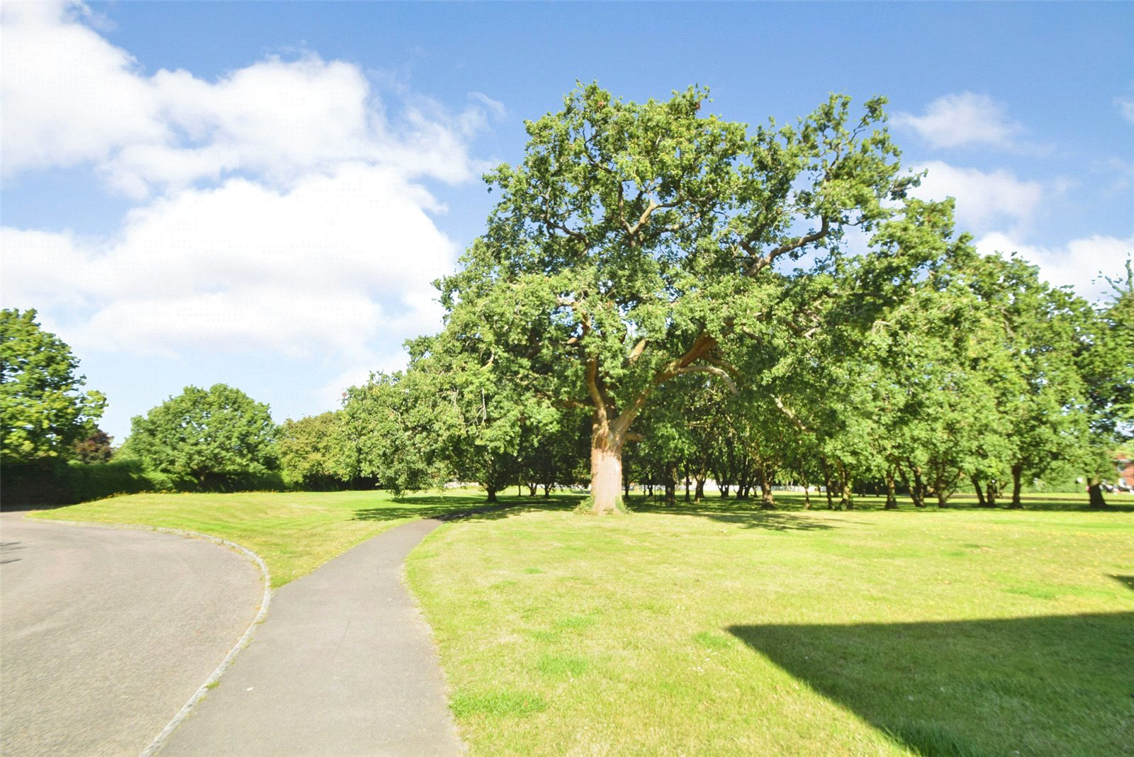 Calcott Park, Yateley, Hampshire, GU46, photo 12