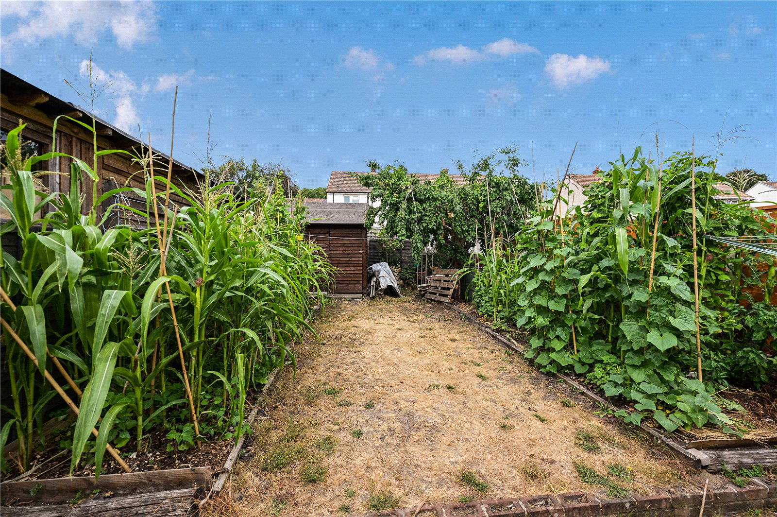 Clayton Road, Farnborough, Hampshire, GU14, photo 3