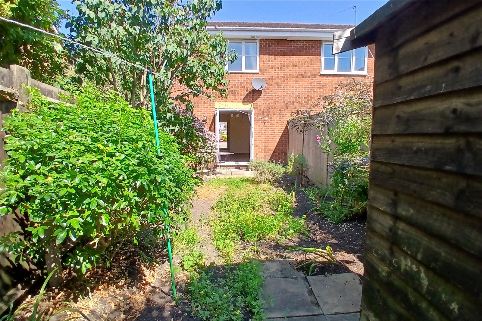 Photo 12