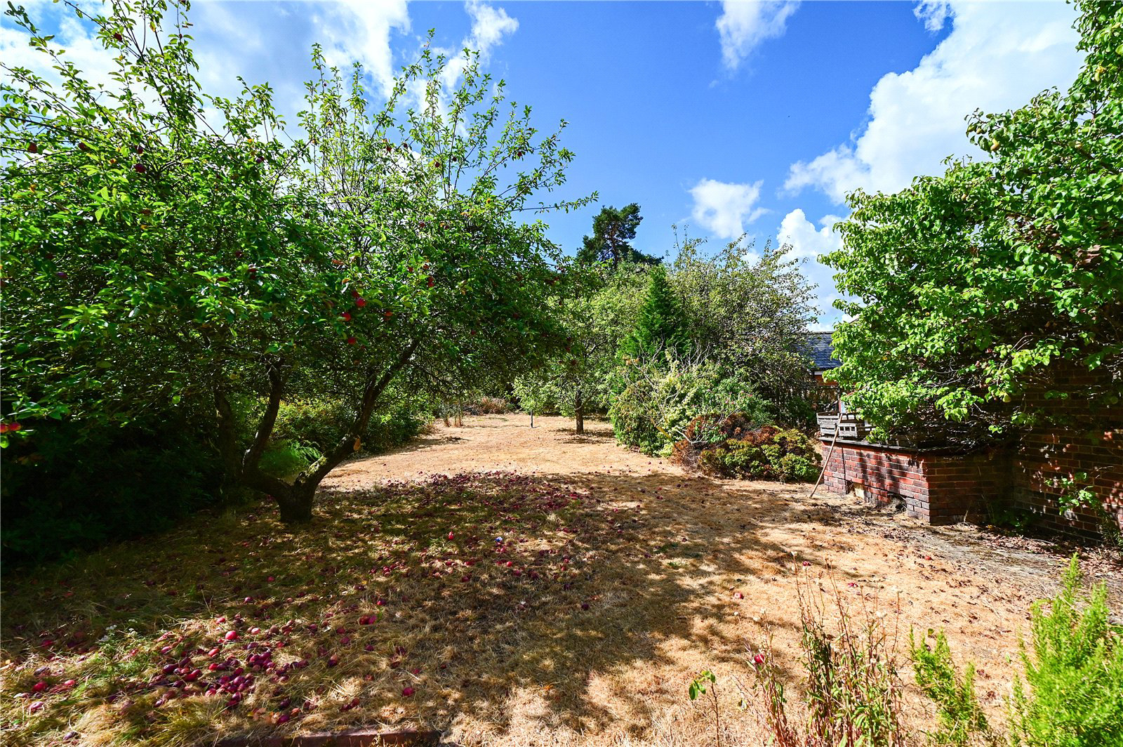 Courtmoor Avenue, Fleet, Hampshire, GU52, photo 2