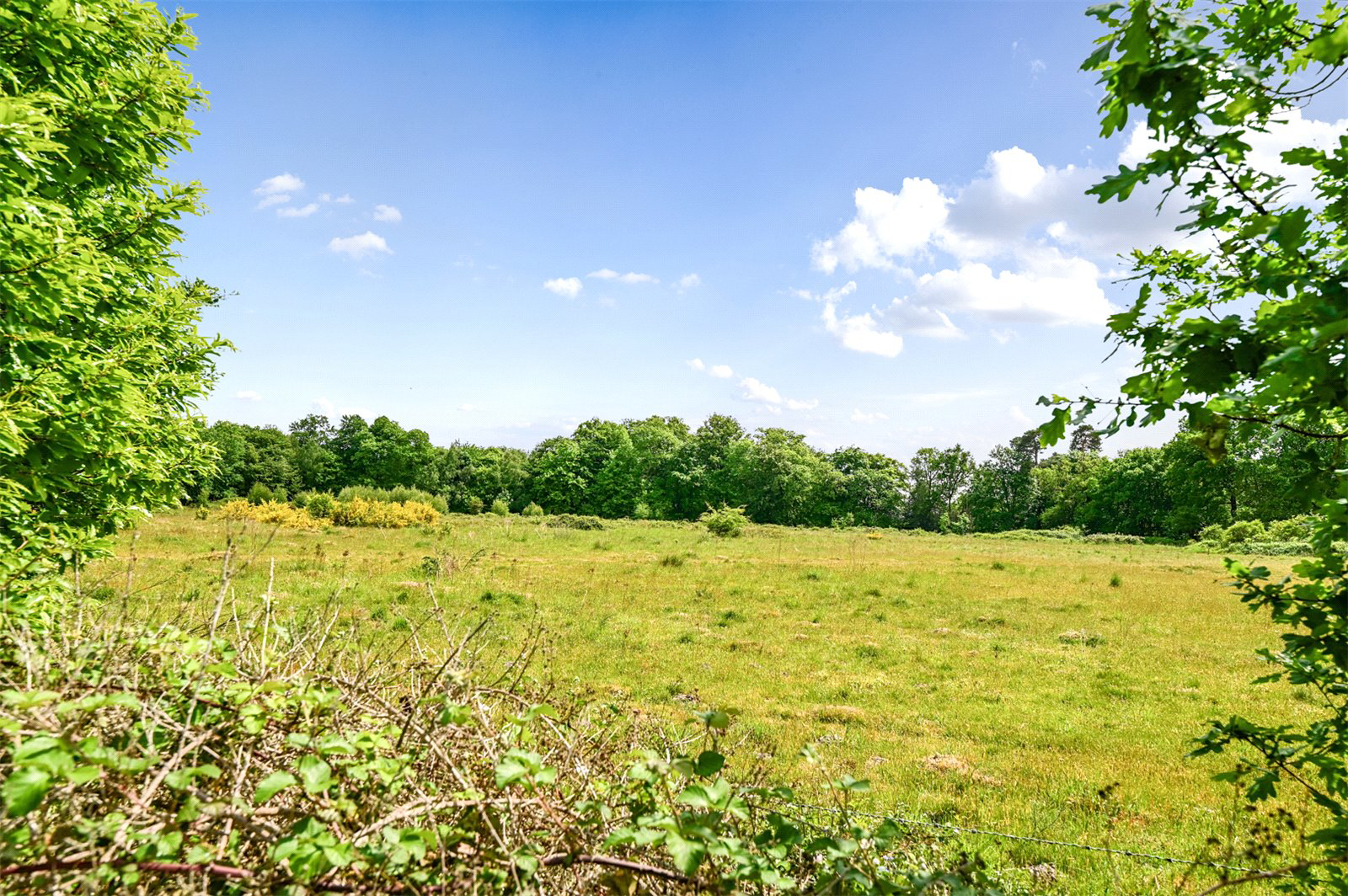 Minley Road, Blackwater, Camberley, Hampshire, GU17, photo 18