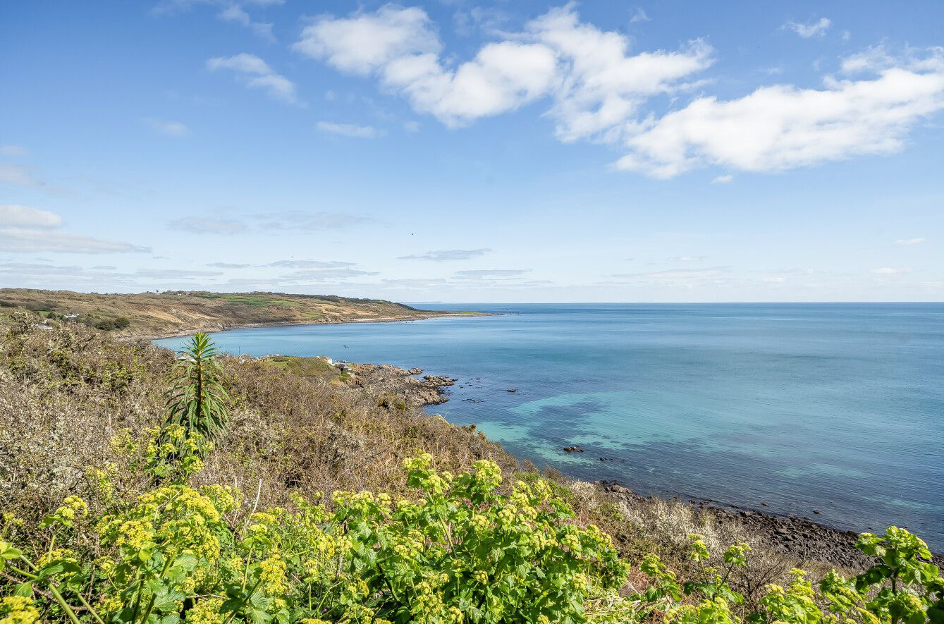 Coverack, The Lizard, photo 17