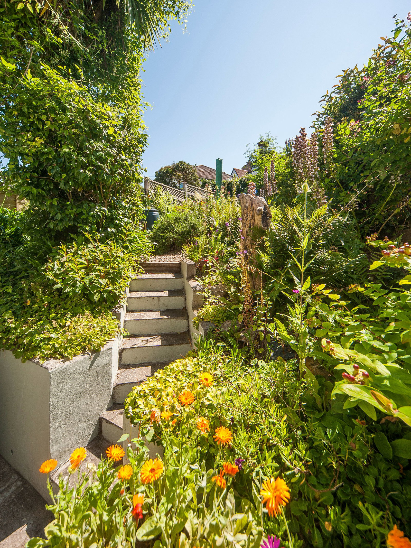 Avenue Road, Falmouth, photo 13