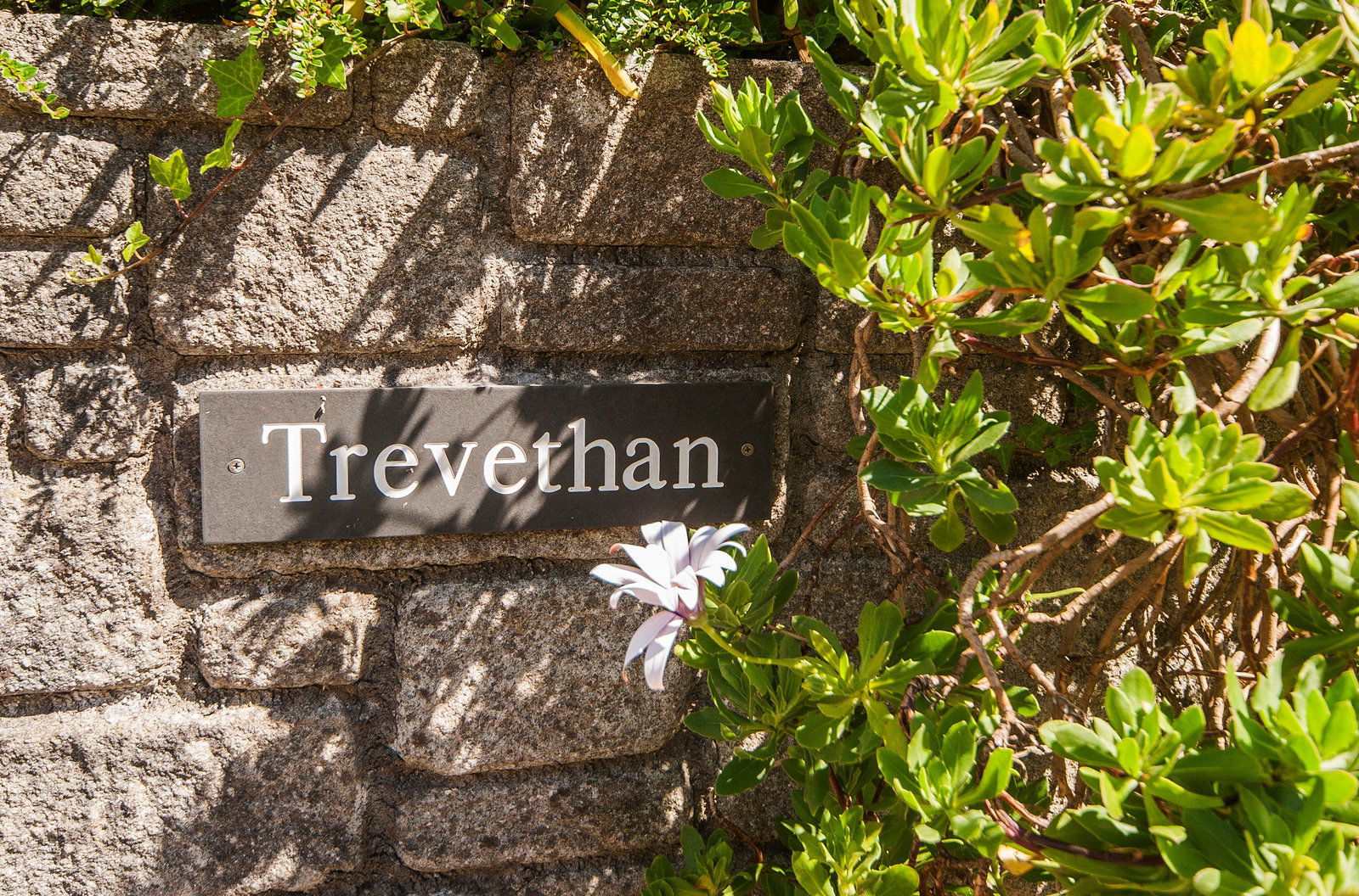 Avenue Road, Falmouth, photo 17