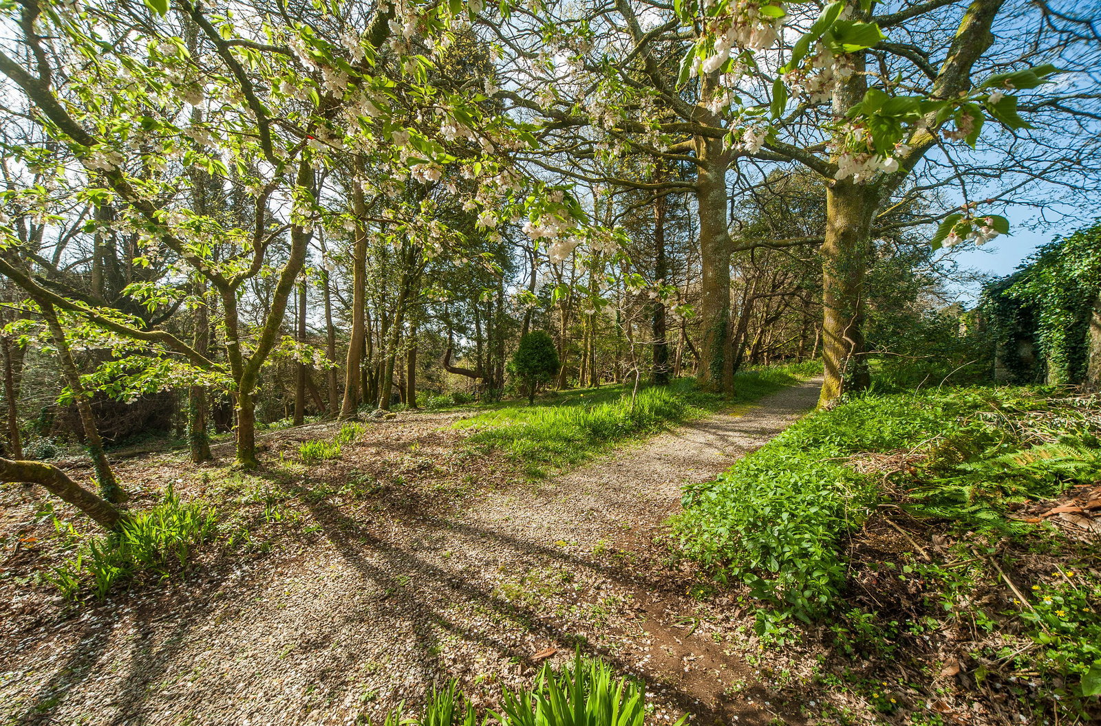 Perranarworthal, between Falmouth & Truro, photo 15
