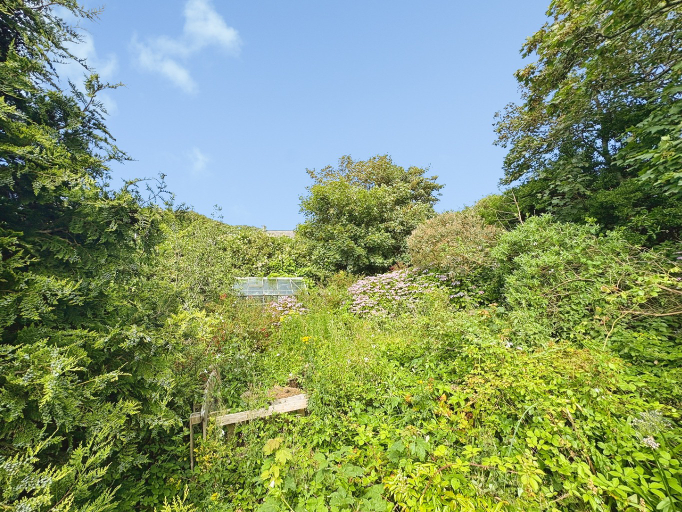 Mullion, Spacious home set within generous grounds, photo 25