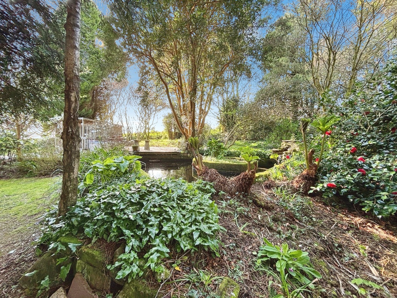 Carnkie, Charming, spacious cottage in peaceful location, photo 30