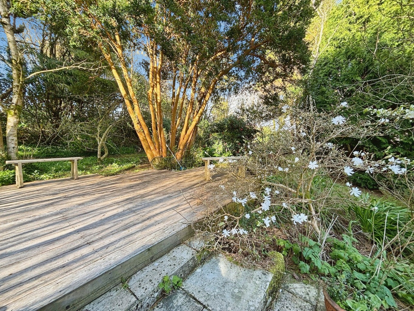 Carnkie, Charming, spacious cottage in peaceful location, photo 25