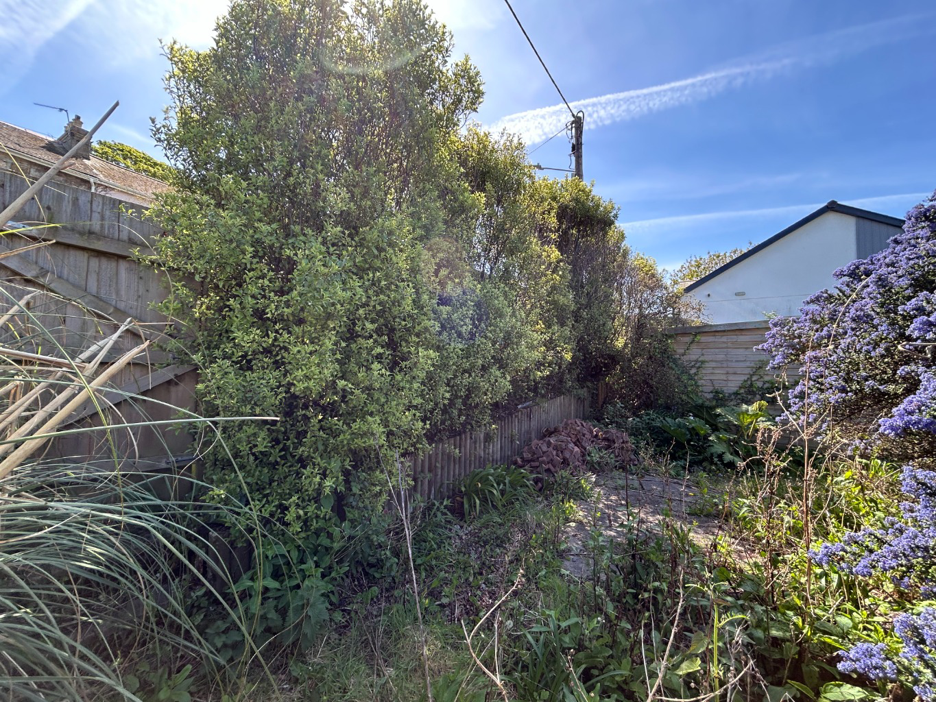 Photo 26