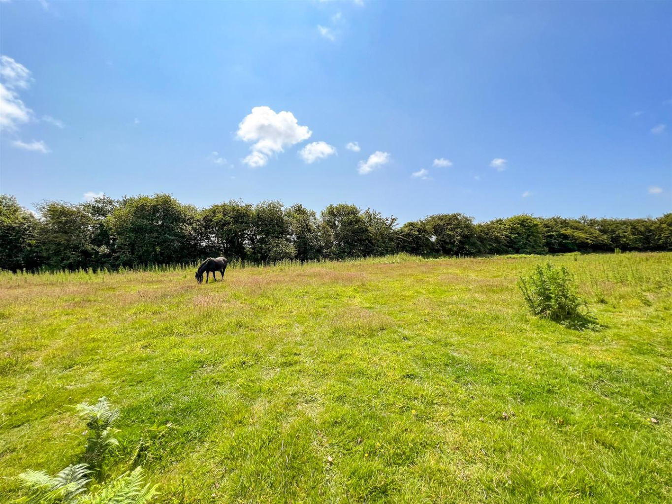 Wheal Vor, Cottage with approximately 6.2 acres, photo 24