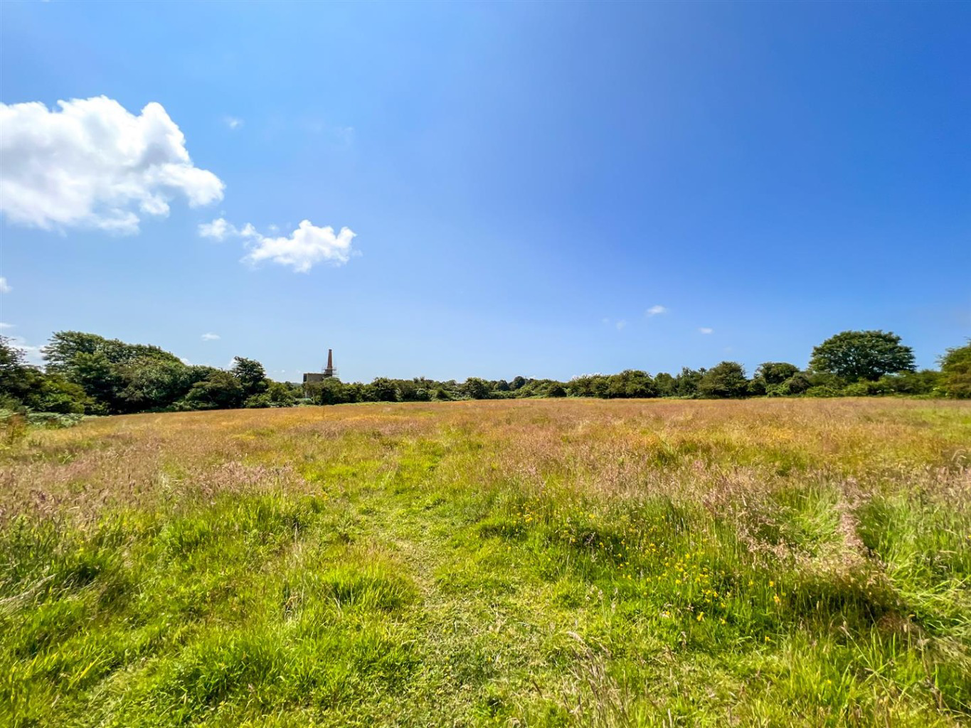 Wheal Vor, Cottage with approximately 6.2 acres, photo 17