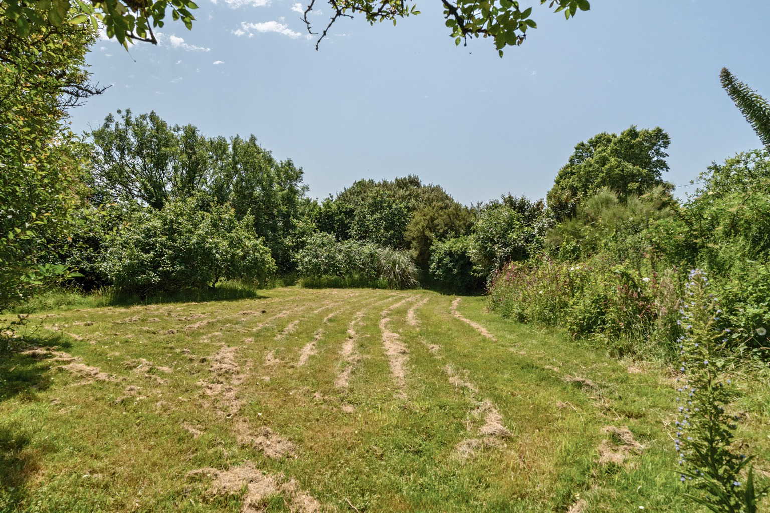 Manaccan, Helston, Cornwall, TR12, photo 14