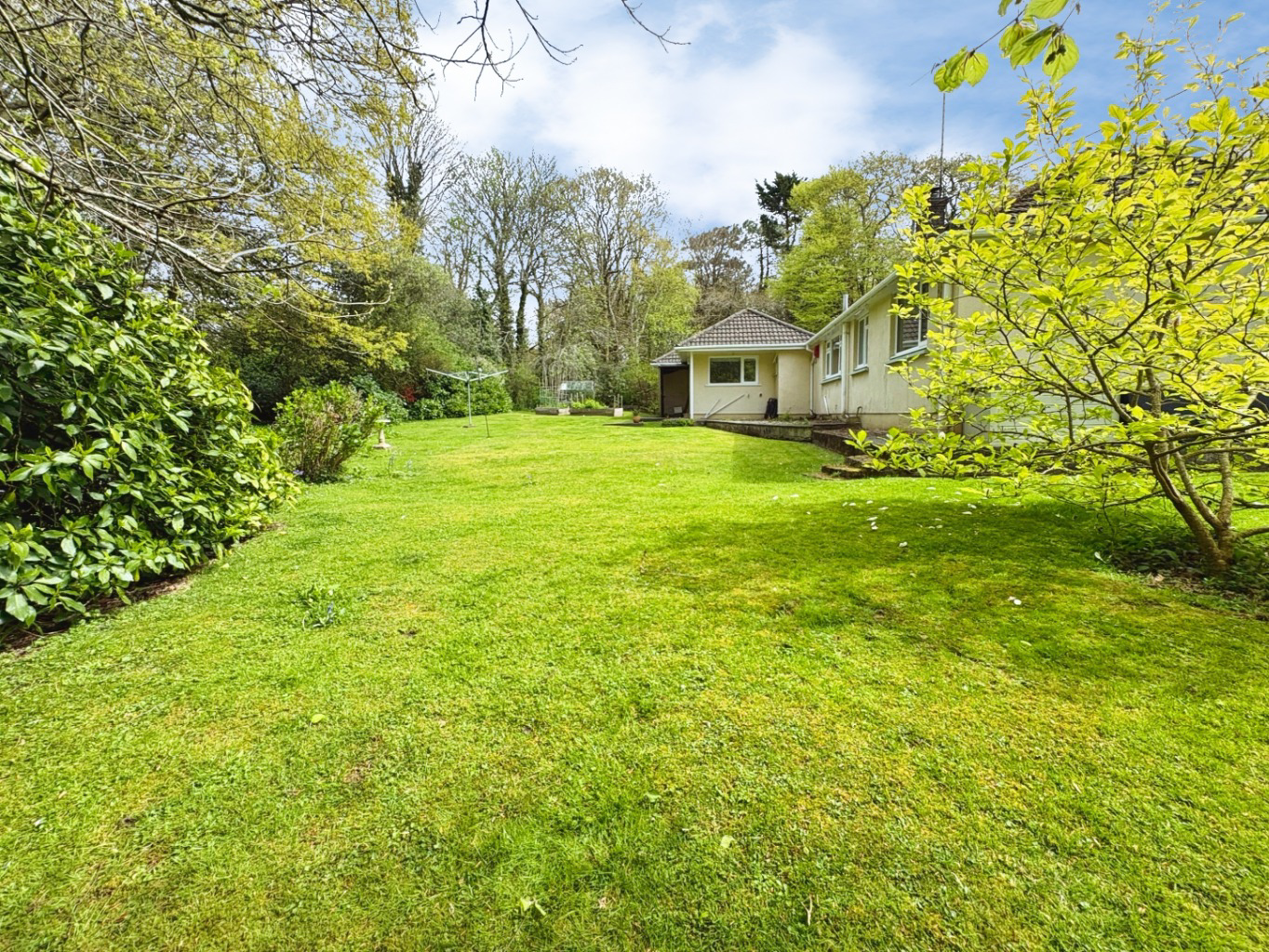 Media image 27