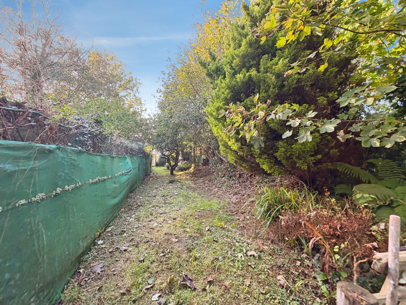 Praze, Camborne, Cornwall, TR14, photo 18