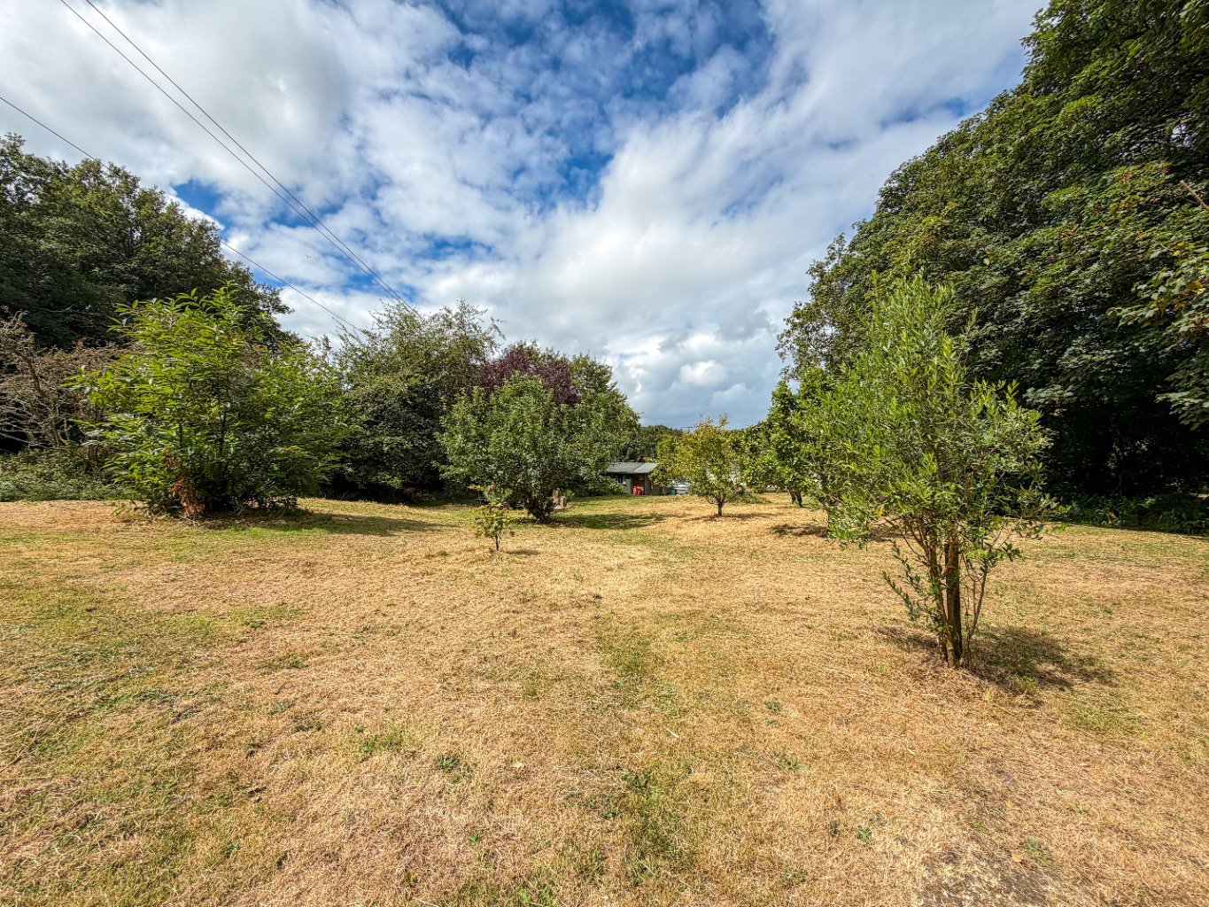 Carwynnen, Versatile home with large garden, paddocks and woodland area, photo 26