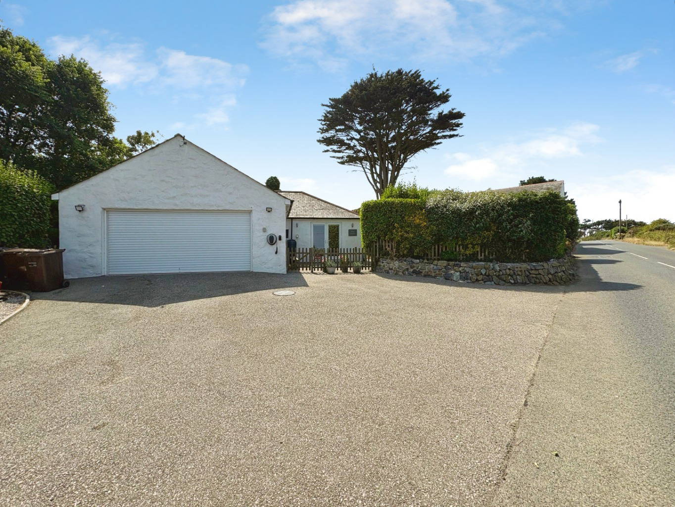 Media image 23